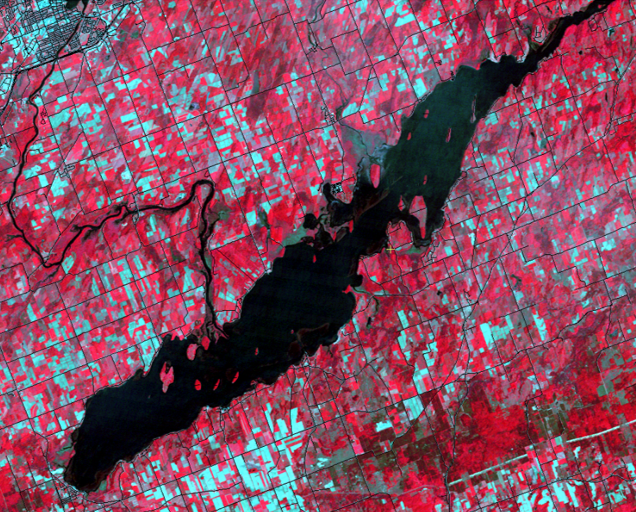 False Color Image of Rice Lake, Ontario